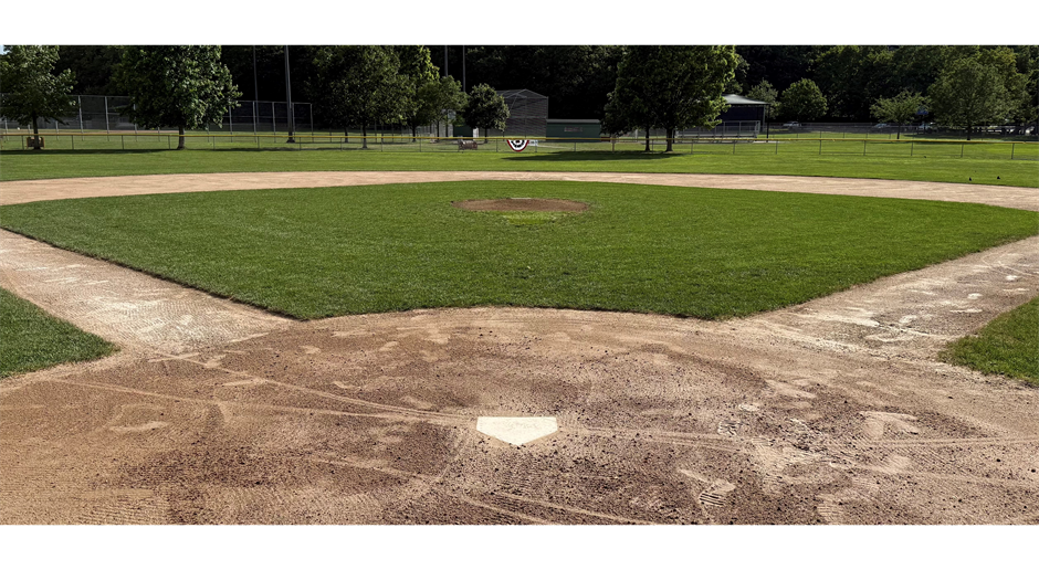 Waltham Youth Baseball